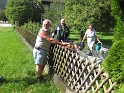 bild (1)